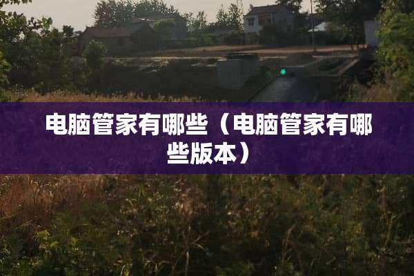 电脑管家有哪些（电脑管家有哪些版本）