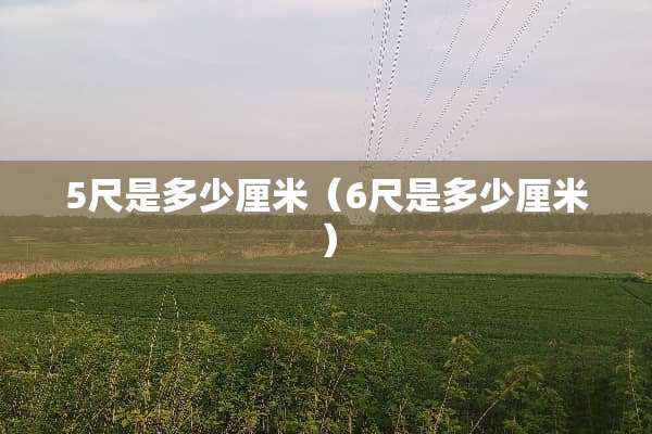 5尺是多少厘米（6尺是多少厘米）