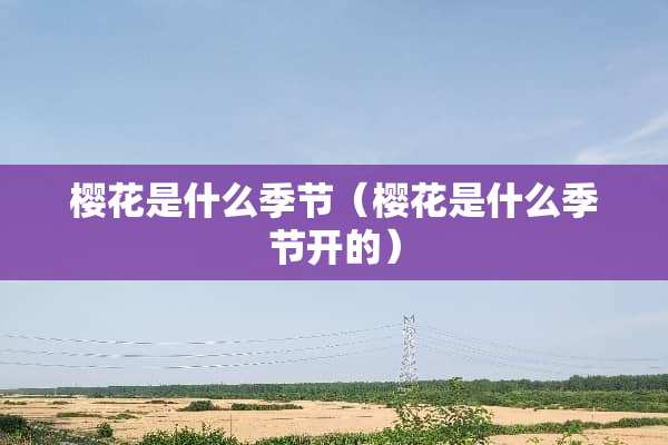 樱花是什么季节（樱花是什么季节开的）