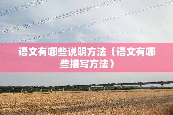 语文有哪些说明方法（语文有哪些描写方法）
