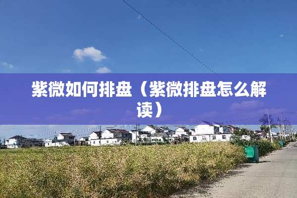 紫微如何排盘（紫微排盘怎么解读）