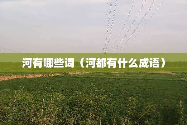 河有哪些词（河都有什么成语）