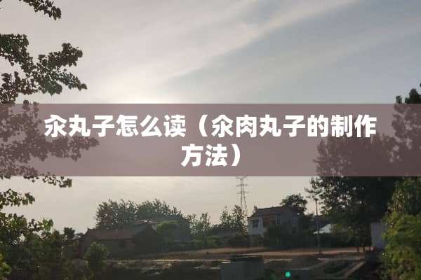 汆丸子怎么读（氽肉丸子的制作方法）