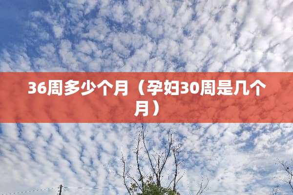 36周多少个月（孕妇30周是几个月）