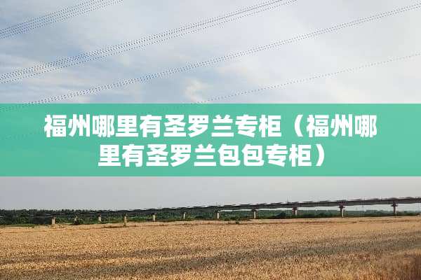 福州哪里有圣罗兰专柜（福州哪里有圣罗兰包包专柜）