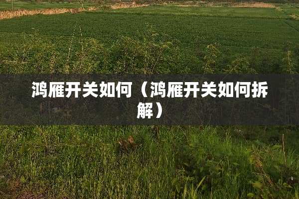 鸿雁开关如何（鸿雁开关如何拆解）
