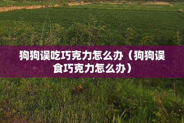 狗狗误吃巧克力怎么办（狗狗误食巧克力怎么办）