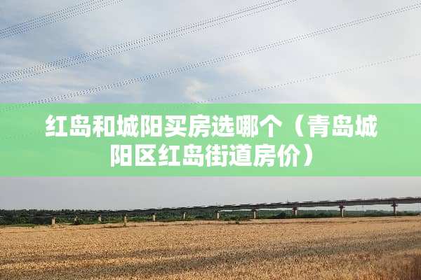 红岛和城阳买房选哪个（青岛城阳区红岛街道房价）