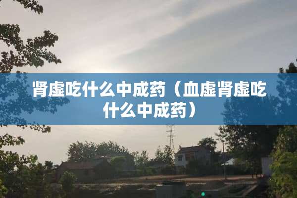 肾虚吃什么中成药（血虚肾虚吃什么中成药）