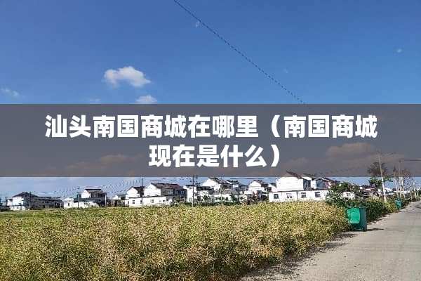 汕头南国商城在哪里（南国商城 现在是什么）