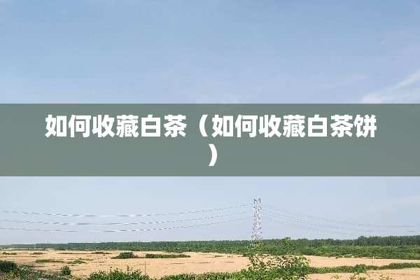 如何收藏白茶（如何收藏白茶饼）