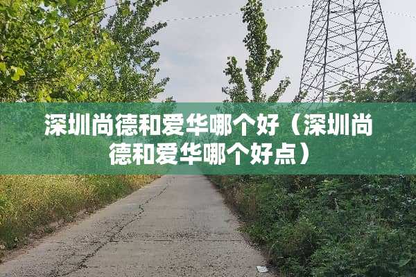 深圳尚德和爱华哪个好（深圳尚德和爱华哪个好点）