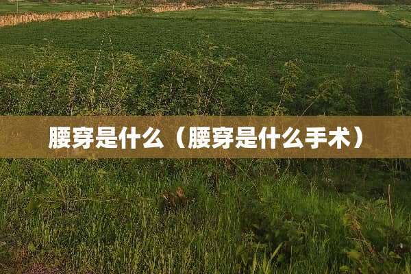 腰穿是什么（腰穿是什么手术）