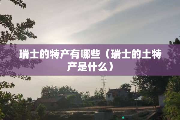 瑞士的特产有哪些（瑞士的土特产是什么）