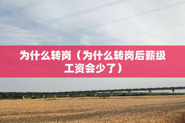 为什么转岗（为什么转岗后薪级工资会少了）