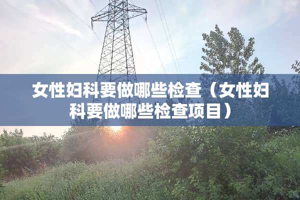 女性妇科要做哪些检查（女性妇科要做哪些检查项目）