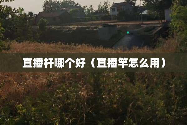 直播杆哪个好（直播竿怎么用）