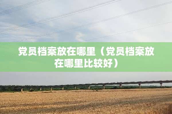 *员档案放在哪里（*员档案放在哪里比较好）