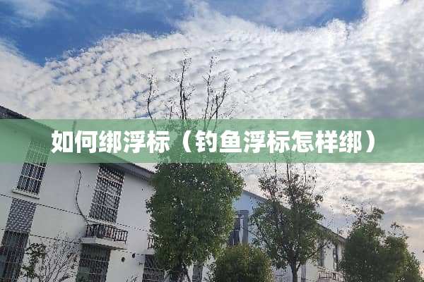 如何绑浮标（钓鱼浮标怎样绑）