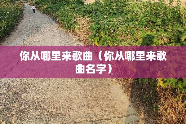 你从哪里来歌曲（你从哪里来歌曲名字）