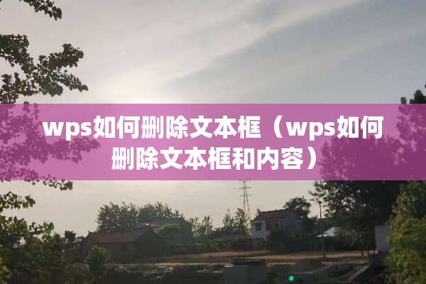 wps如何删除文本框（wps如何删除文本框和内容）
