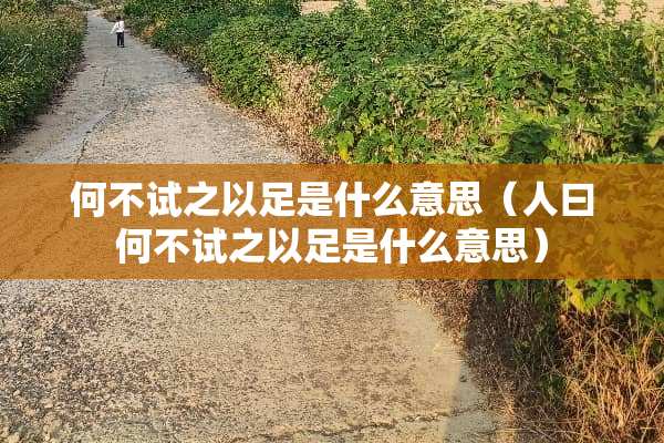 何不试之以足是什么意思（人曰何不试之以足是什么意思）