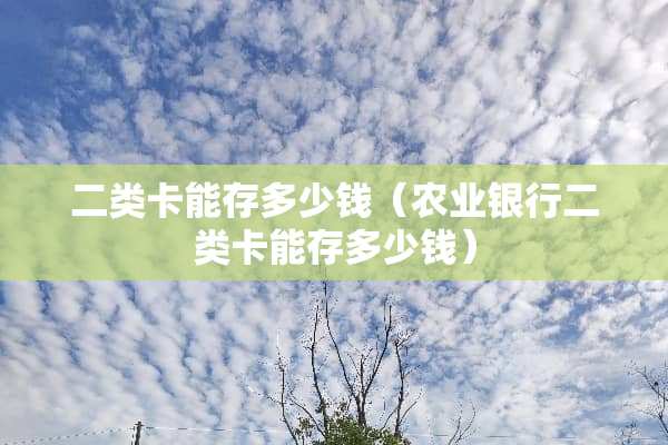 二类卡能存多少钱（农业银行二类卡能存多少钱）