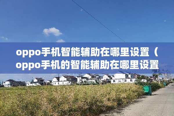 oppo手机智能辅助在哪里设置（oppo手机的智能辅助在哪里设置）