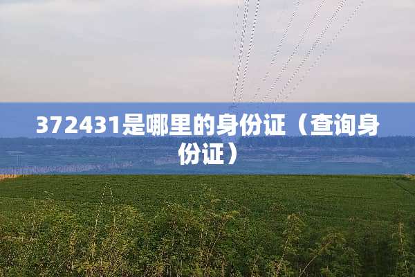 372431是哪里的***（查询***）
