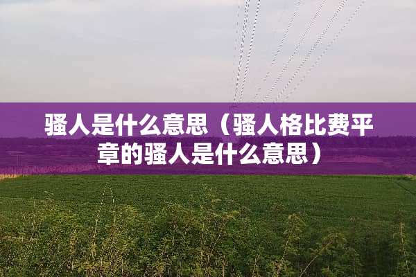 *人是什么意思（*人格比费平章的*人是什么意思）