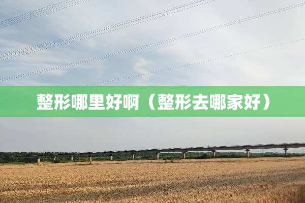 整形哪里好啊（整形去哪家好）