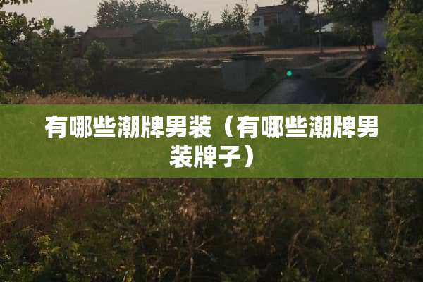 有哪些潮牌男装（有哪些潮牌男装牌子）