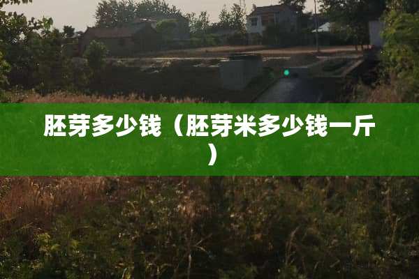 胚芽多少钱（胚芽米多少钱一斤）