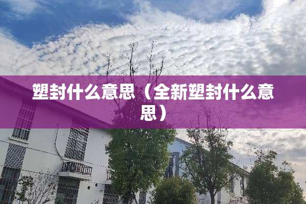 塑封什么意思（全新塑封什么意思）