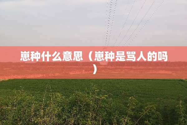 崽种什么意思（崽种是骂人的吗）