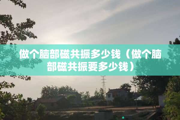 做个脑部磁共振多少钱（做个脑部磁共振要多少钱）