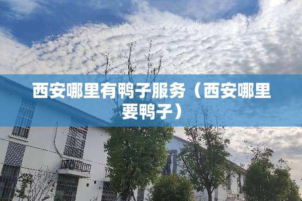 西安哪里有鸭子服务（西安哪里要鸭子）