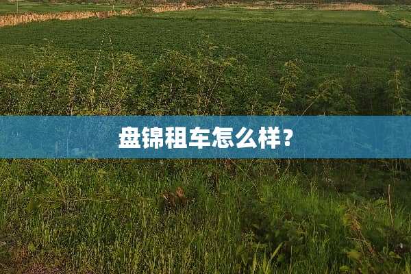 盘锦租车怎么样？