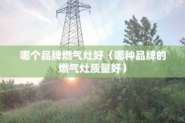 哪个品牌燃气灶好（哪种品牌的燃气灶质量好）