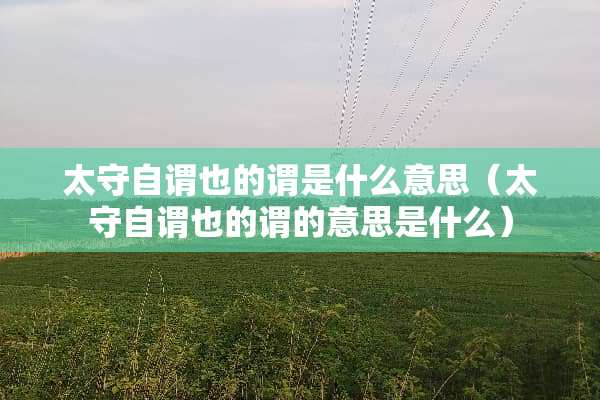 太守自谓也的谓是什么意思（太守自谓也的谓的意思是什么）
