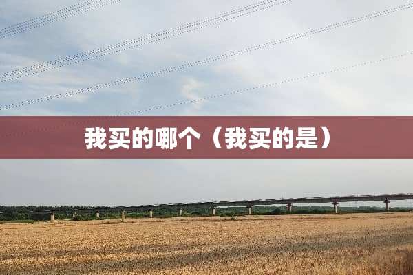 我买的哪个（我买的是）