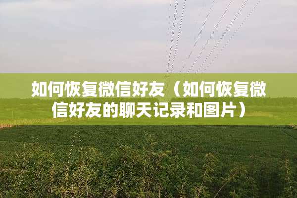 如何恢复微信好友（如何恢复微信好友的聊天记录和图片）