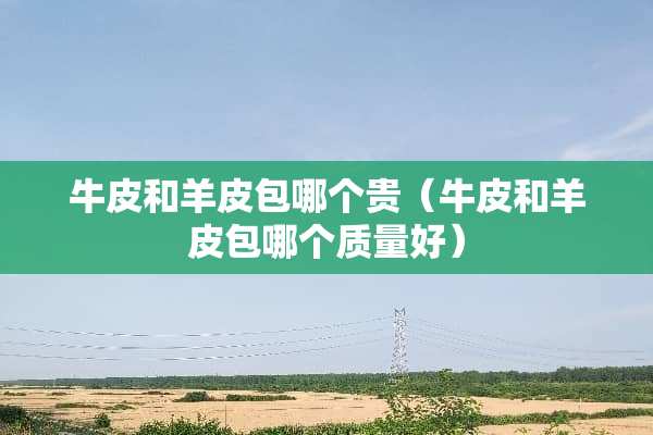 牛皮和羊皮包哪个贵（牛皮和羊皮包哪个质量好）