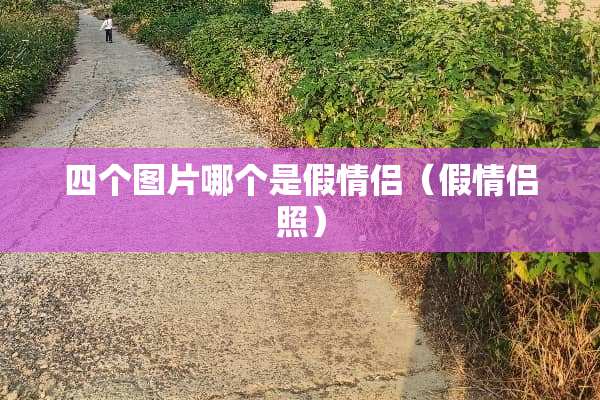 四个图片哪个是假情侣（假情侣照）