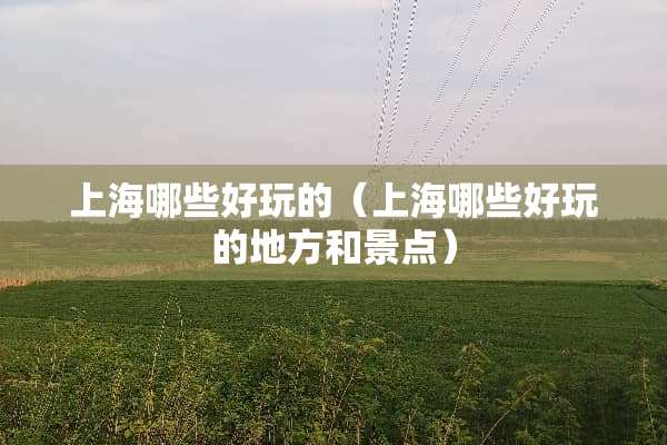 上海哪些好玩的（上海哪些好玩的地方和景点）