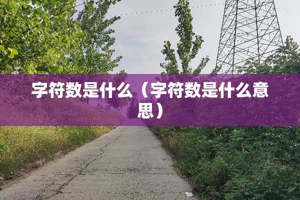 字符数是什么（字符数是什么意思）