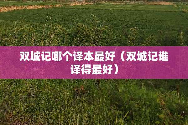 双城记哪个译本最好（双城记谁译得最好）