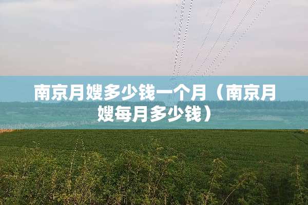 南京月嫂多少钱一个月（南京月嫂每月多少钱）
