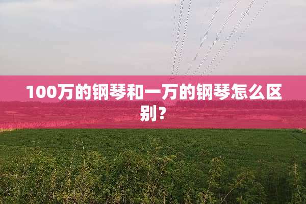 100万的钢琴和一万的钢琴怎么区别？