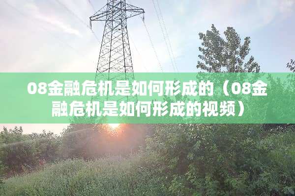 08金融危机是如何形成的（08金融危机是如何形成的视频）